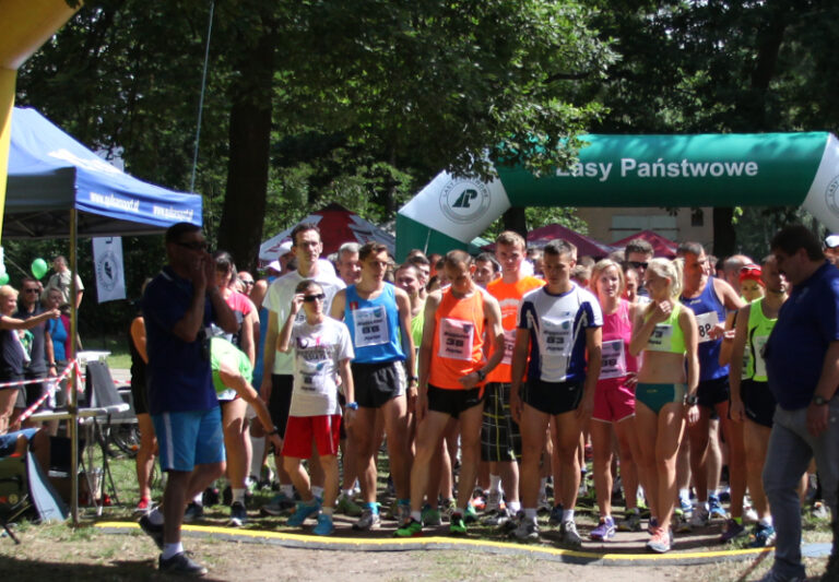 niesulickapiatka2014