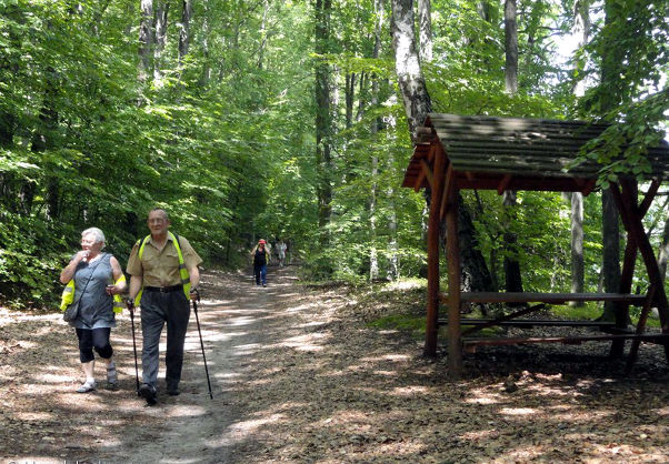 marsz-lagow-zapowiedz