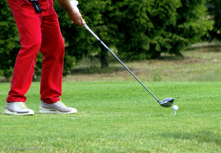 kalinowe-pola-wlkp-01