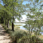 rzeka-odra-lubuskie